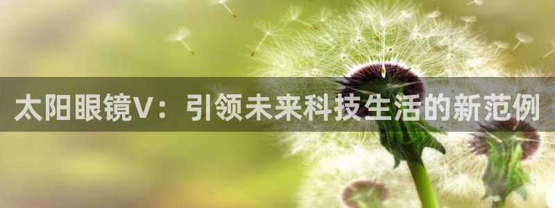 辉达娱乐多少年