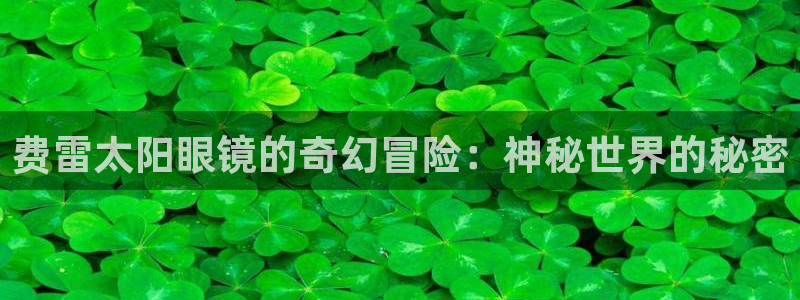 专业辉达娱乐官方网址