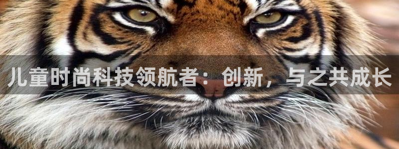 辉达娱乐丿39444