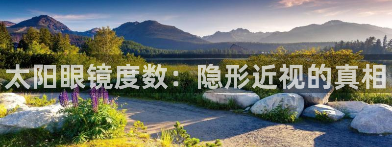 辉达娱乐电子
