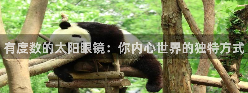 辉达娱乐重庆时时彩