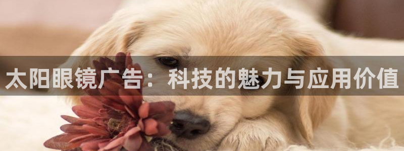 辉达娱乐丶75505