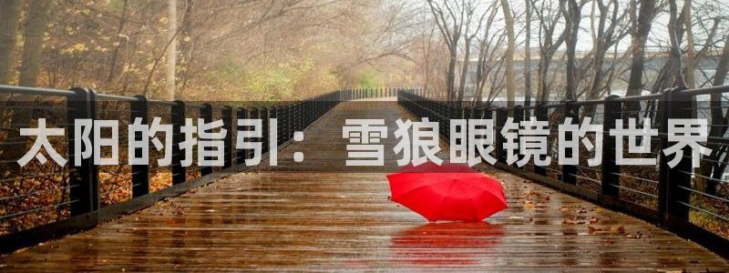 辉达娱乐正规吗