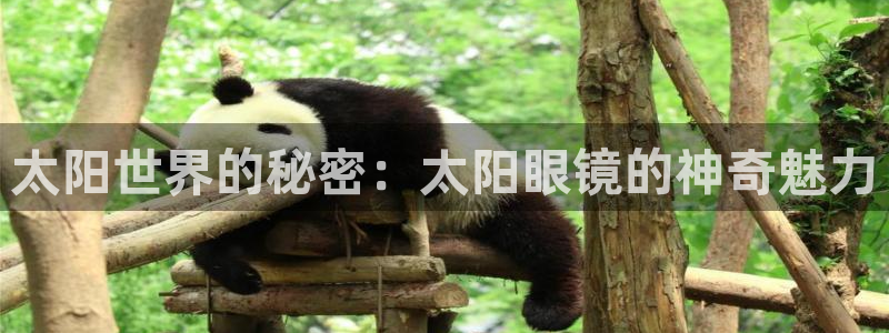 辉达娱乐ag游戏平台