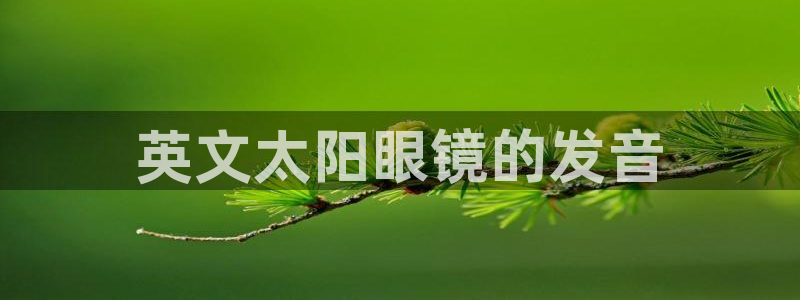 辉达娱乐最新消息新闻