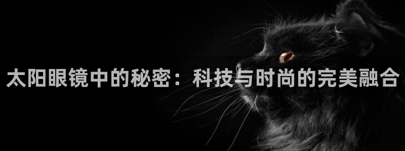 辉达娱乐最新消息新闻