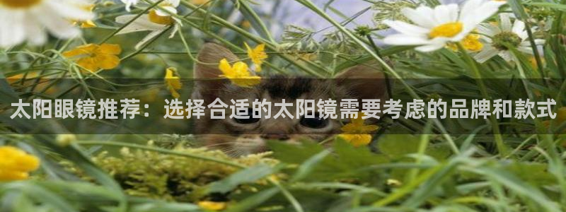 辉达娱乐丶75505