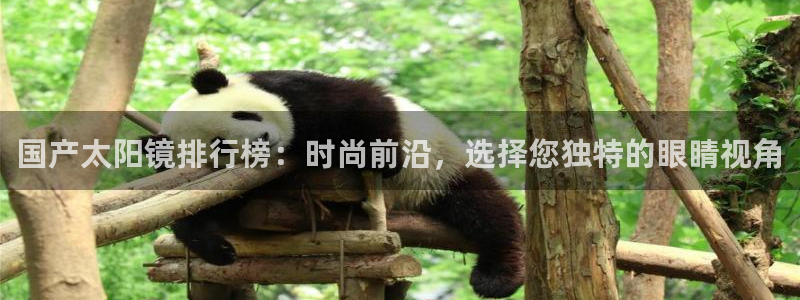 辉达娱乐总部