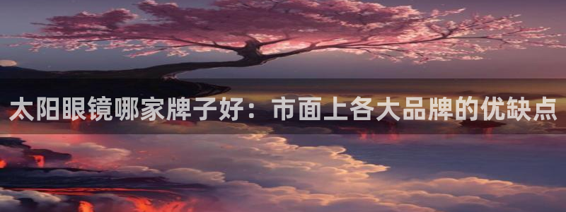 辉达娱乐属于什么档次