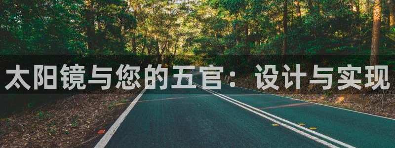 辉达娱乐计划软件