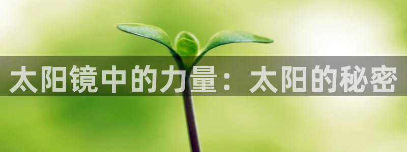 辉达娱乐重庆时时彩