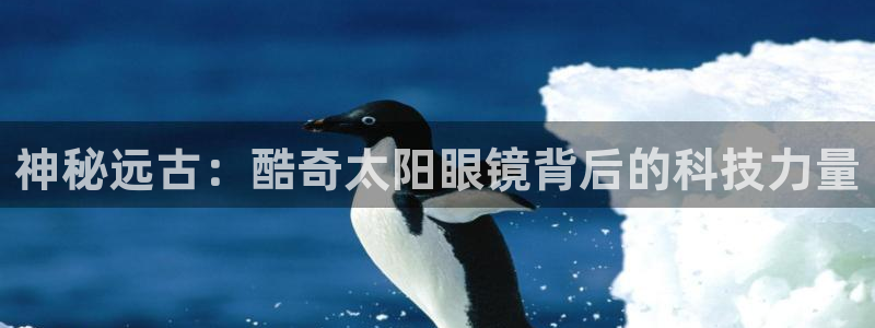 专业辉达娱乐平台