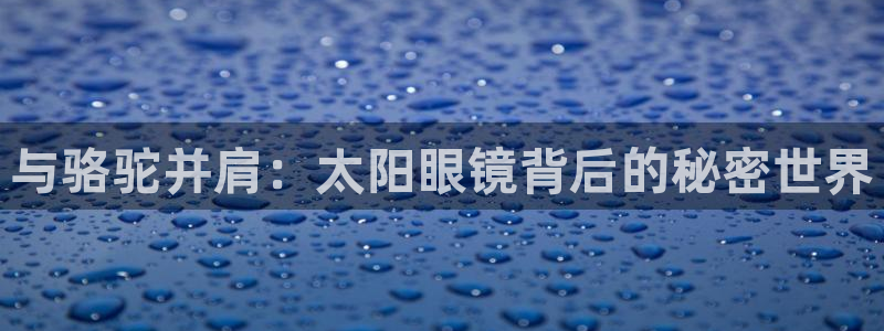 菲律宾辉达娱乐