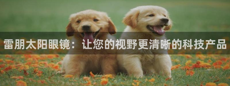 信誉辉达娱乐平台