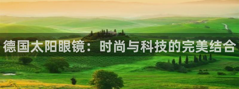 辉达集团官方网站