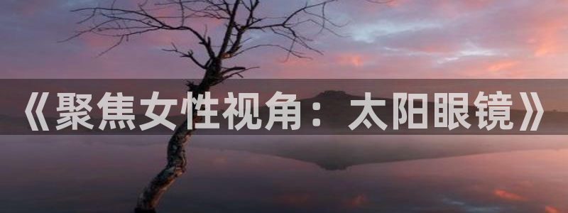 辉达娱乐丿75505