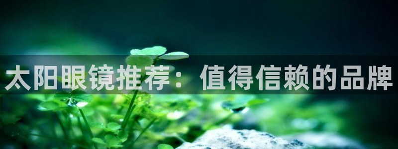 辉达娱乐最新消息新闻