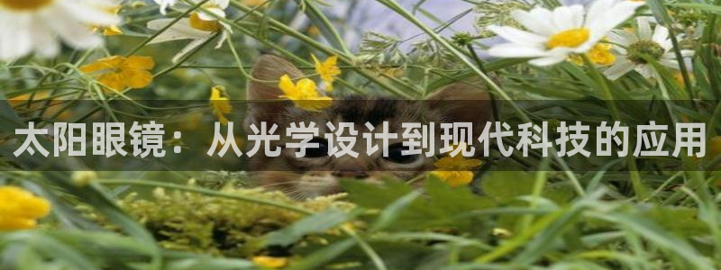 信誉辉达娱乐平台