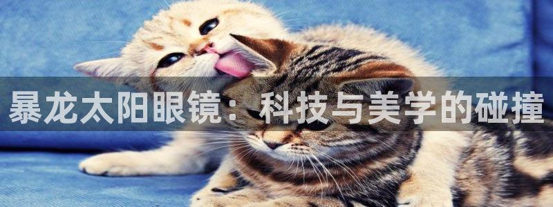 辉达娱乐排列三