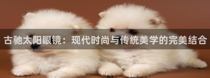 辉达平台官网电话