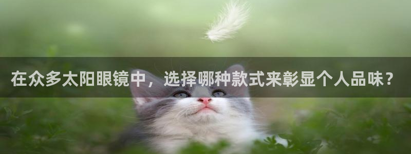 辉达娱乐电子游艺