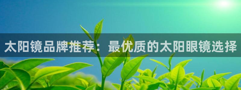 辉达娱乐属于什么档次