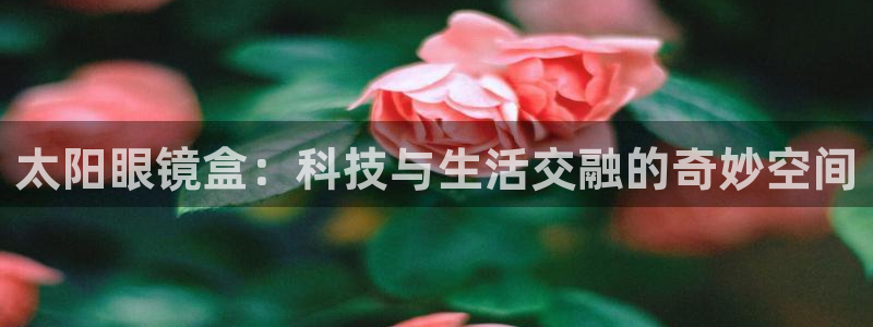 达娱乐辉70667