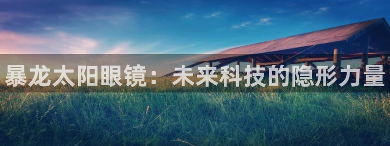 辉达娱乐app