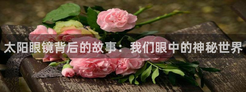 辉达娱乐待遇