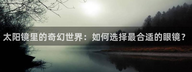 辉达怎么样