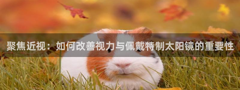辉达娱乐ag游戏平台
