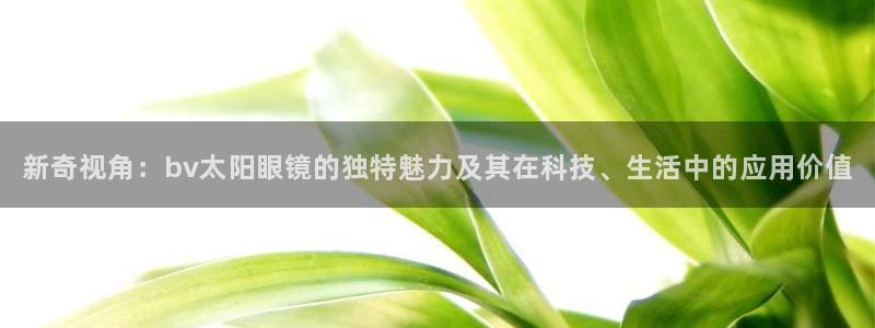 辉达娱乐时时彩平台