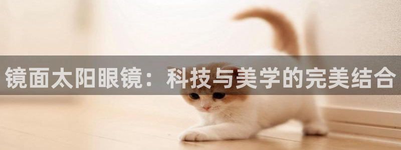 辉达娱乐兼职