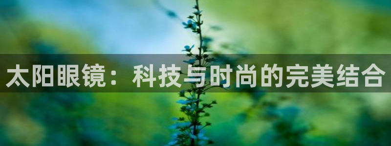 辉达娱乐兼职