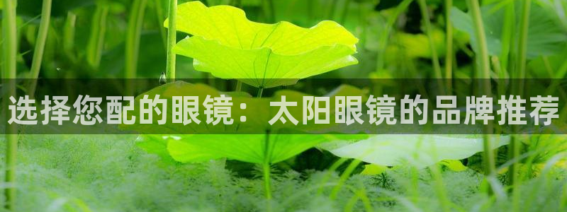 辉达娱乐最新版本更新内容