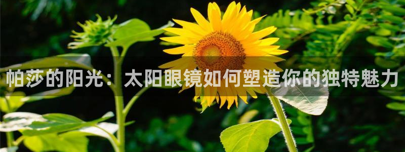 达娱乐辉70667
