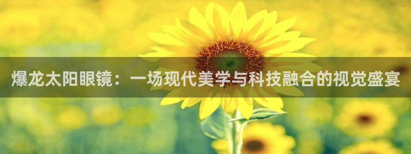 代理辉达娱乐平台