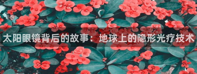 龙腾辉达电子娱乐