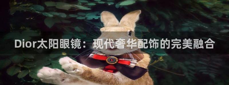 辉达娱乐下载