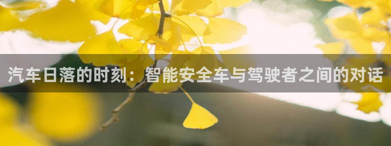辉达平台官网网站