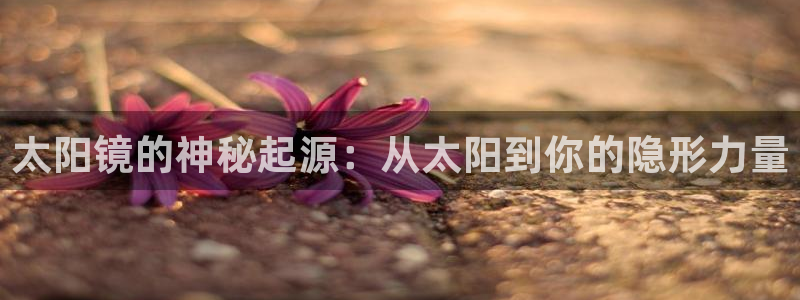 辉达娱乐属于什么档次