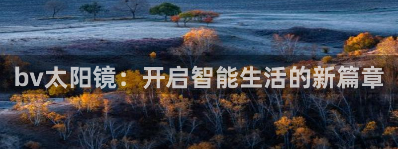 辉达娱乐丶39444