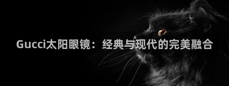 龙腾辉达电子娱乐