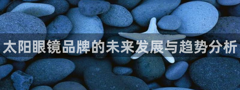 辉达娱乐多少年