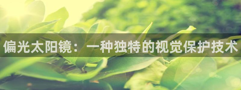 辉达平台官网网站